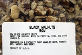 Black Walnuts - Raw 8 oz.